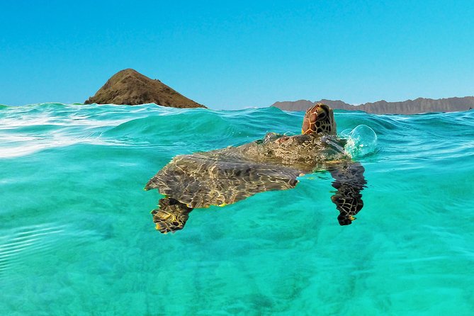 Kailua Bay, Oahu: Epic Kayak and Snorkel to Islands - Guided or self-guided: which one fits you?