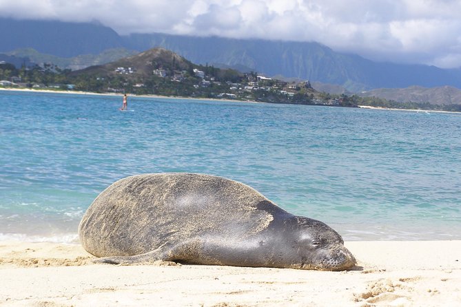 Kailua Bay, Oahu: Epic Kayak and Snorkel to Islands - Lunch adds real value to the package
