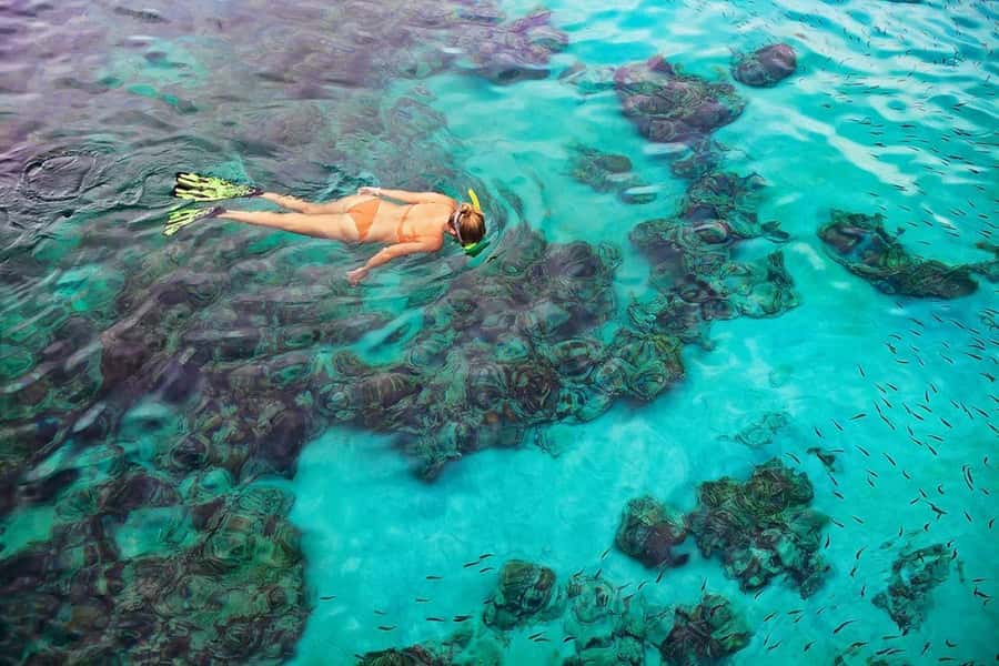 Kailua Kona: Dolphin, Sea Cave and Captain Cook Snorkel Tour - Sea caves, lava tubes, and coves along the coast