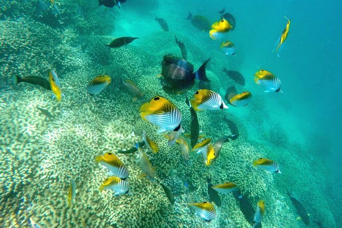 Kaneohe Sandbar Snorkeling Tour - 2nd Tour - Captain Bruce’s crew and the feel onboard