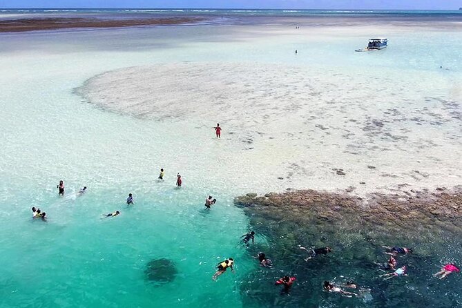 Kaneohe Sandbar Snorkeling Tour - 2nd Tour - The 15-minute ride to Kaneohe Bay’s sandbar