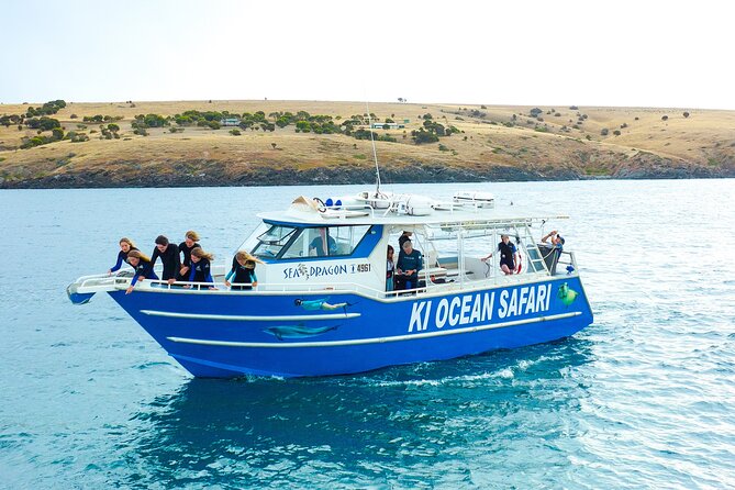 Kangaroo Island - Swim with Dolphins/Seals/Coastal Snorkel - Key points to know before you book