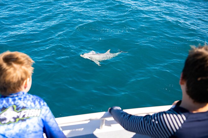 Kangaroo Island - Swim with Dolphins/Seals/Coastal Snorkel - Why the crew matters