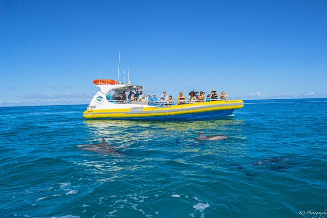 Kauai: Na Pali Coast Super Raft Snorkel Adventure - Snorkeling with fish and turtles, when the sea allows