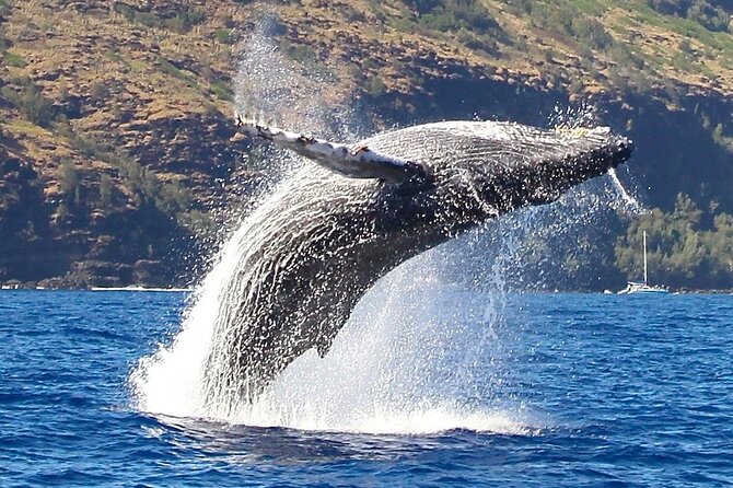 Kauai: Nā Pali Coast Zodiac Raft Expedition and Snorkeling - Is $237.50 a fair price?