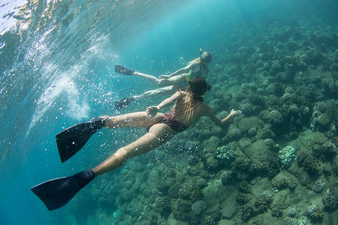 Kauai’s Na Pali Coast Snorkel and Sail Tour - Lunch, drinks, and onboard comfort