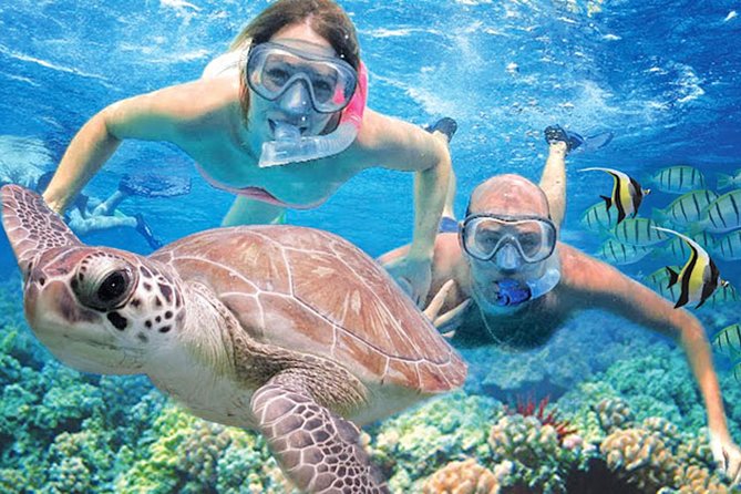 Kauai’s Ultimate Guided Shore Snorkel in South Poipu - Key points to know before you book