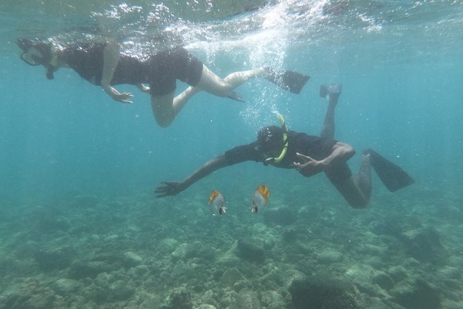 Kauai’s Ultimate Guided Shore Snorkel in South Poipu - Water comfort, motion sickness, and practical preparation
