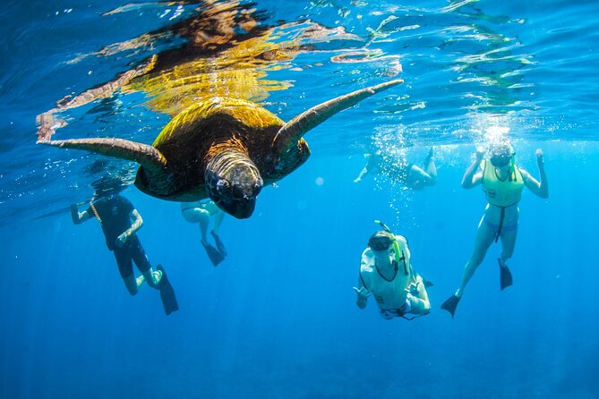 Kauai's Ultimate South Island Zodiac Boat Snorkel Adventure - A fast Zodiac ride along Kauai’s south shore