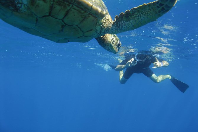 Kauai's Ultimate South Island Zodiac Boat Snorkel Adventure - Who should book this Zodiac tour