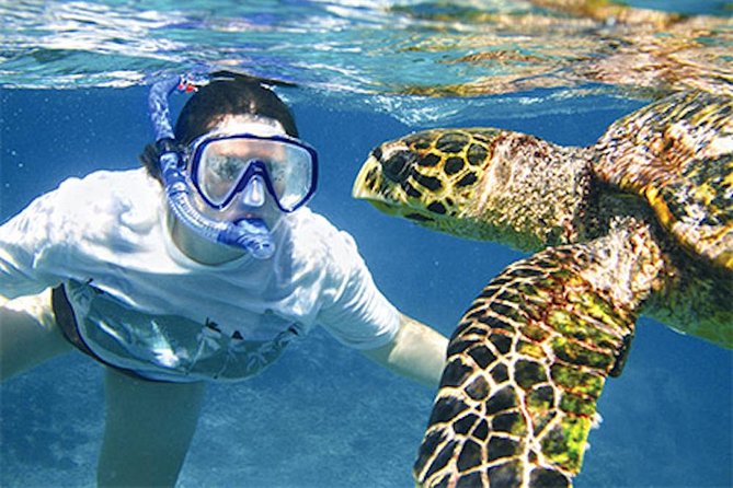 Kauai's Ultimate South Island Zodiac Boat Snorkel Adventure - Spouting Horn and the coast from the water