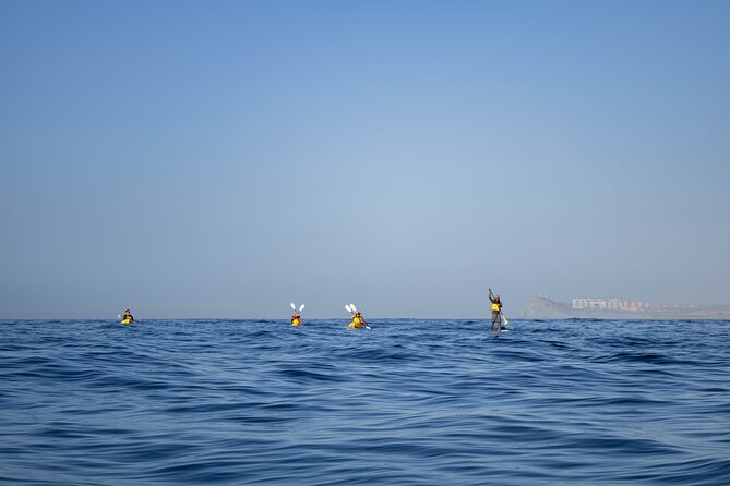 Kayak from Viudas Beach to Chileno Bay & Snorkel + Beach Time - How the $90 price measures up