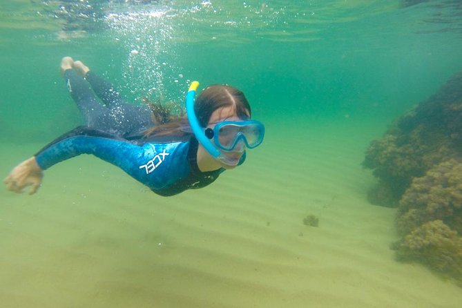 Kayak Route + Snorkel in Cantabria - What the Two-Hour Session Covers