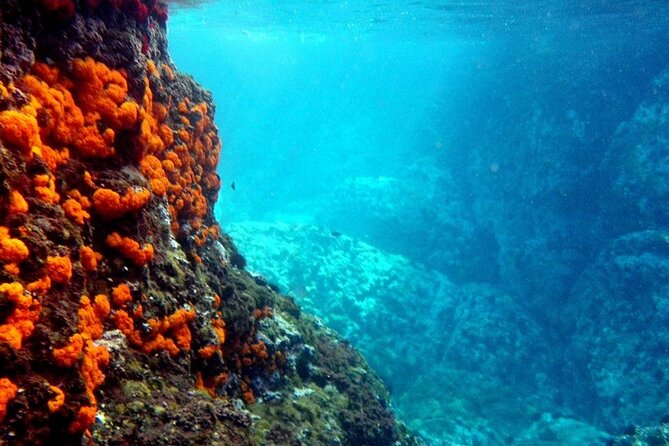 Kayak & Snorkel Tour in Cerro Gordo Natural Park, La Herradura - Starting at P.º Andrés Segovia, 61
