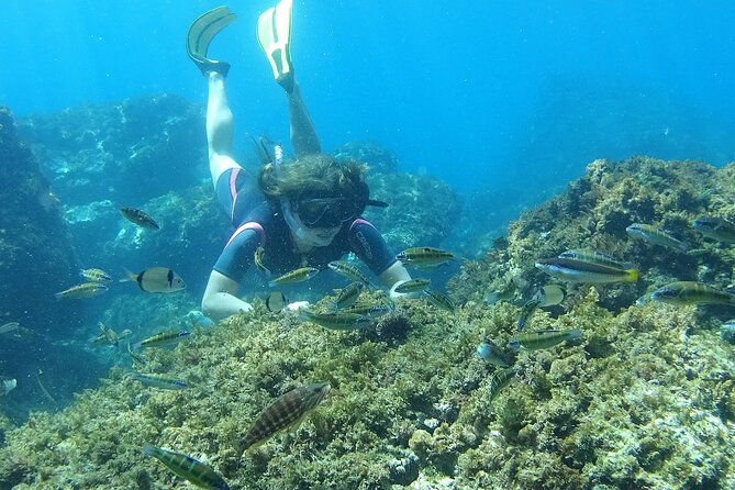 Kayak & Snorkel Tour in Cerro Gordo Natural Park, La Herradura - Snorkeling in conditions that can change quickly