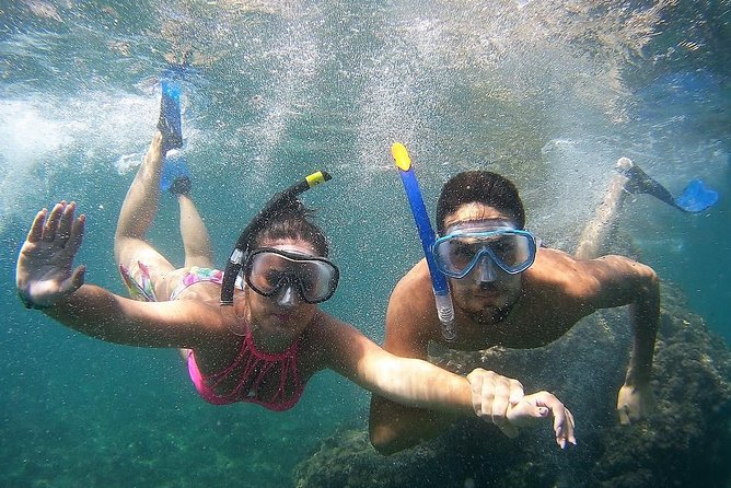 Kayak & Snorkel Tour in Cerro Gordo Natural Park, La Herradura - How much value do you get for $34.76?