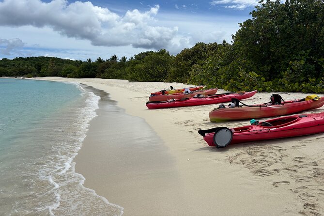 Kayak & Snorkel with Sea Turtles, National Park, St. John - The guides shape the day