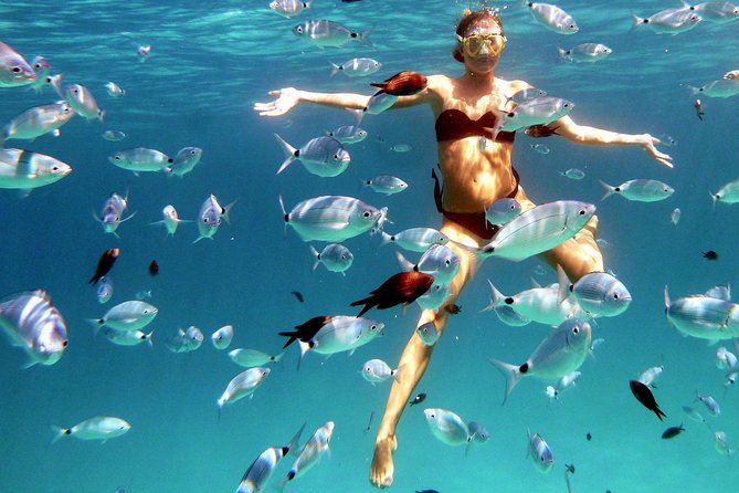 Kayak Tour with Snorkeling and Local Aperitif - Choosing between a single and double kayak