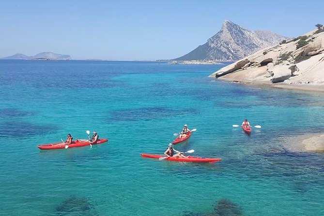 Kayak Tour with Snorkeling and Local Aperitif - Who will enjoy this outing most