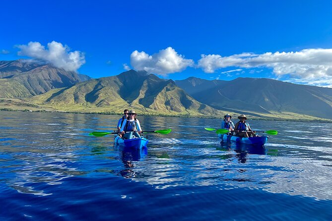 Kayak & Turtle Town Snorkel(Turtles Guaranteed) + Whale Watching - Key points to know before booking