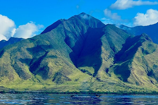 Kayak & Turtle Town Snorkel(Turtles Guaranteed) + Whale Watching - Paddling out from Olowalu