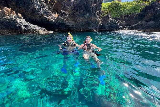 Kayak & Turtle Town Snorkel(Turtles Guaranteed) + Whale Watching - Photos and videos, with one cost to consider