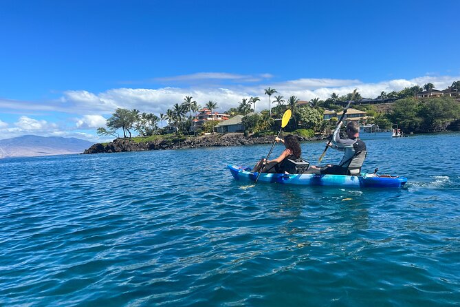 Kayak & Turtle Town Snorkel(Turtles Guaranteed) + Whale Watching - Practical details that make the difference