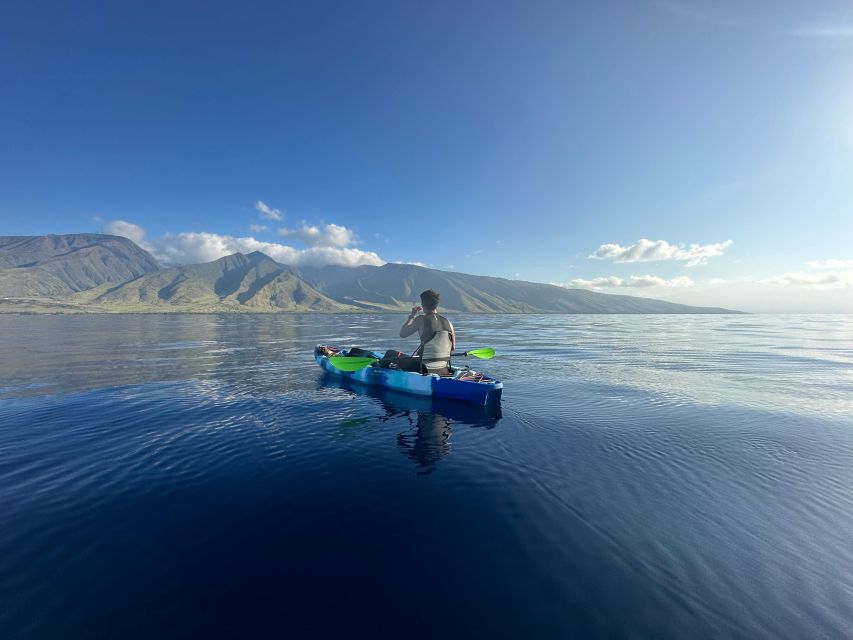 Kayak, Whale Watch And Snorkel At Turtle Town - Should you book Kayak, Whale Watch and Snorkel at Turtle Town?