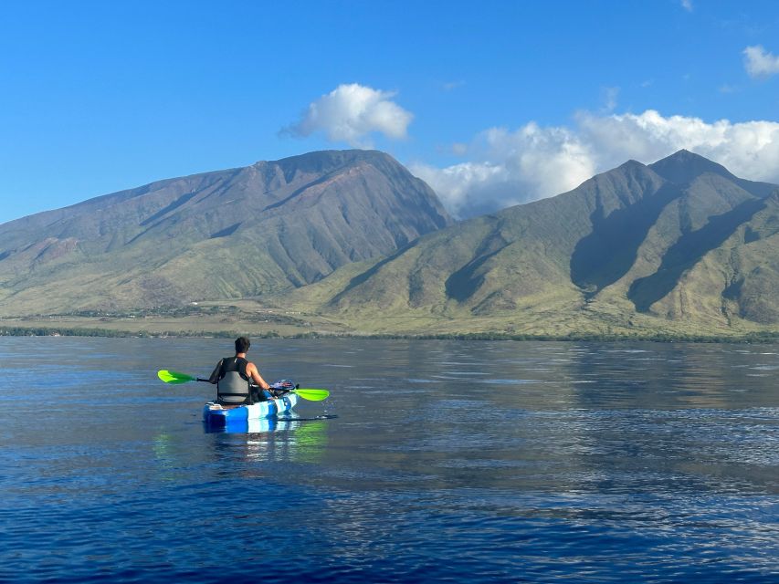 Kayak, Whale Watch And Snorkel At Turtle Town - Watching for whales, dolphins, and turtles