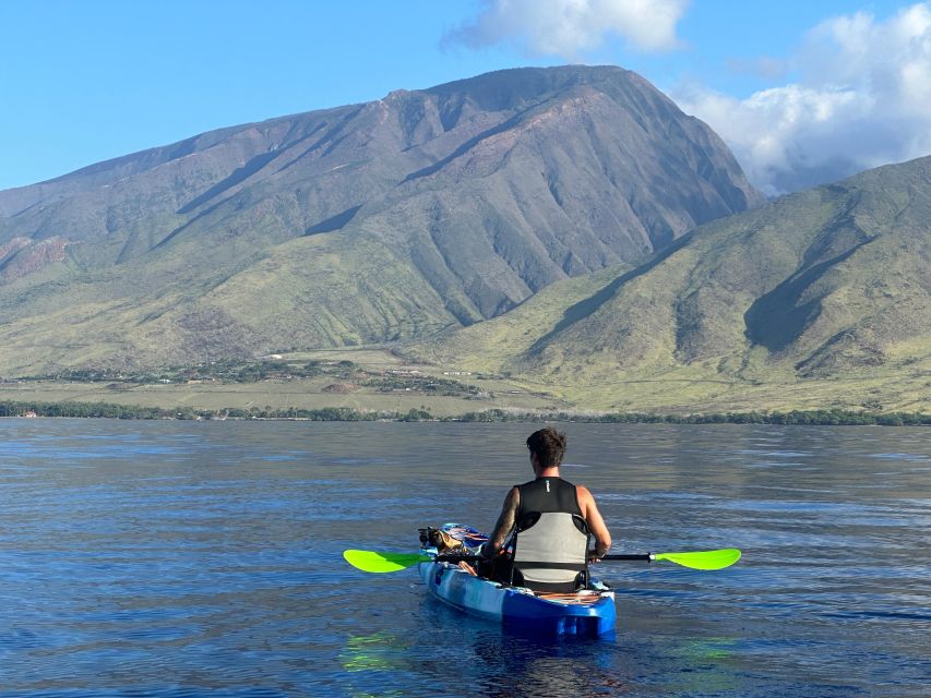Kayak, Whale Watch And Snorkel At Turtle Town - New kayaks and practical comfort
