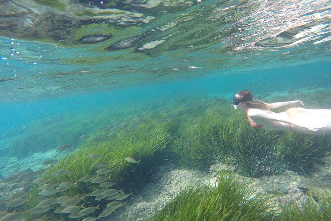 Kayak y snorkell por las mejores calas del Parque Natural Cabo de Gata - Why this Cabo de Gata outing works so well