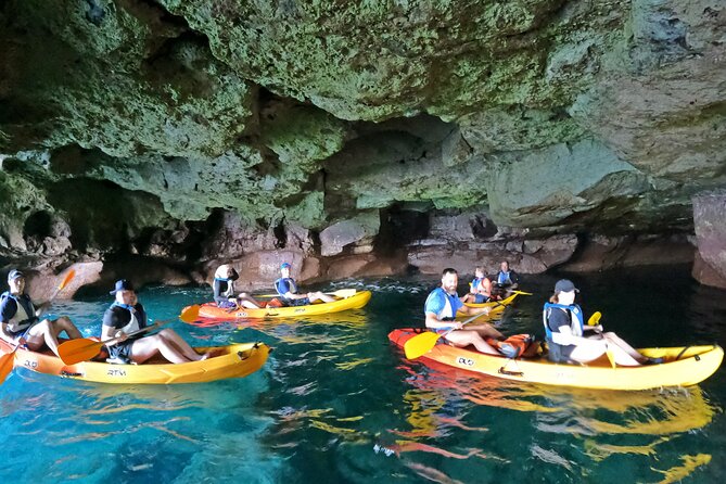 Kayaking Adventure Route with Snorkeling in Mogan Caves - Is $62.91 good value?