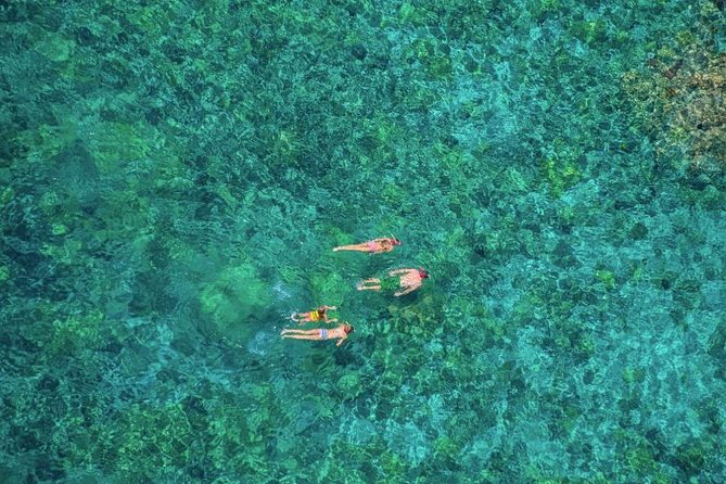 Kealakekua Bay Afternoon Snorkel: Family Fun on the Kona Coast - Kealakekua Bay delivers the best snorkeling