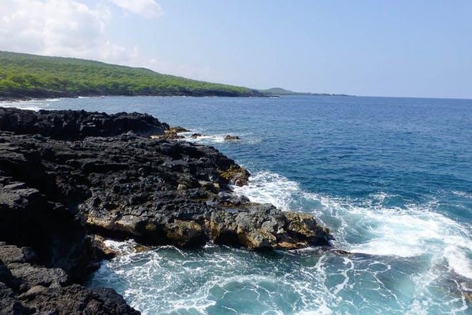 Kealakekua Bay Captain Cook Snorkel Exclusive - What you see beneath the surface