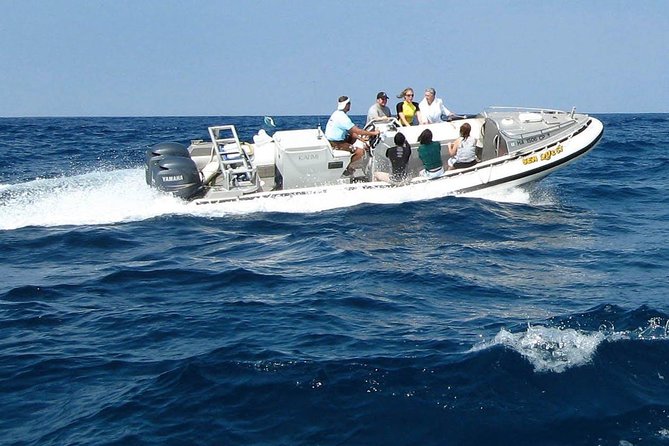 Kealakekua Bay Captain Cook Snorkel Exclusive - The crew makes the difference for beginners