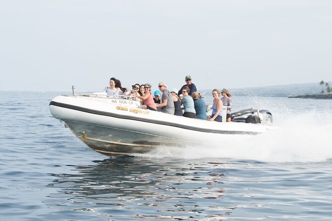 Kealakekua Bay Captain Cook Snorkel Exclusive - Snacks, drinks, and what you need to bring
