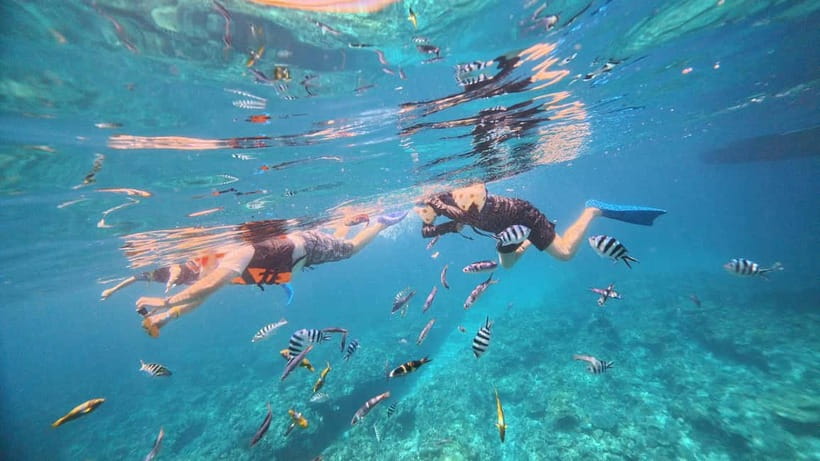 Kerama Half-Day Snorkeling Tour - Language help and group comfort