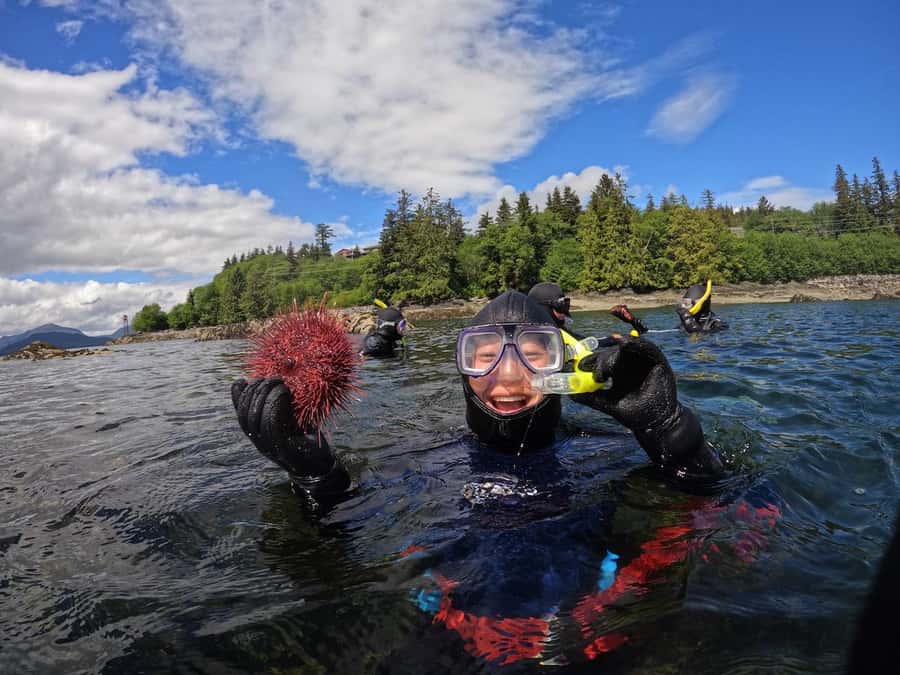 Ketchikan, Alaska: The Mountain Point Snorkeling Adventure - Guides, safety and the feel of a small group