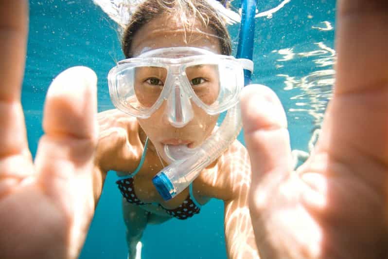 Key Largo: Molasses Reef Snorkeling Trip - What Molasses Reef offers snorkelers