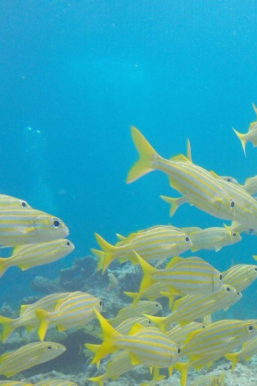 Key Largo: Molasses Reef Snorkeling Trip - The boat ride and shared schedule