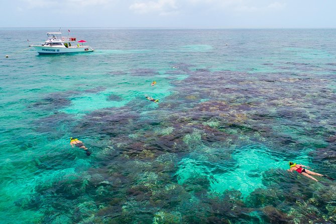 Key Largo Snorkeling Tour - rental mask, fins and vest INCLUDED - What the Key Largo trip actually feels like