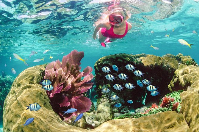 Key Largo Snorkeling Tour - rental mask, fins and vest INCLUDED - The Florida Keys National Marine Sanctuary