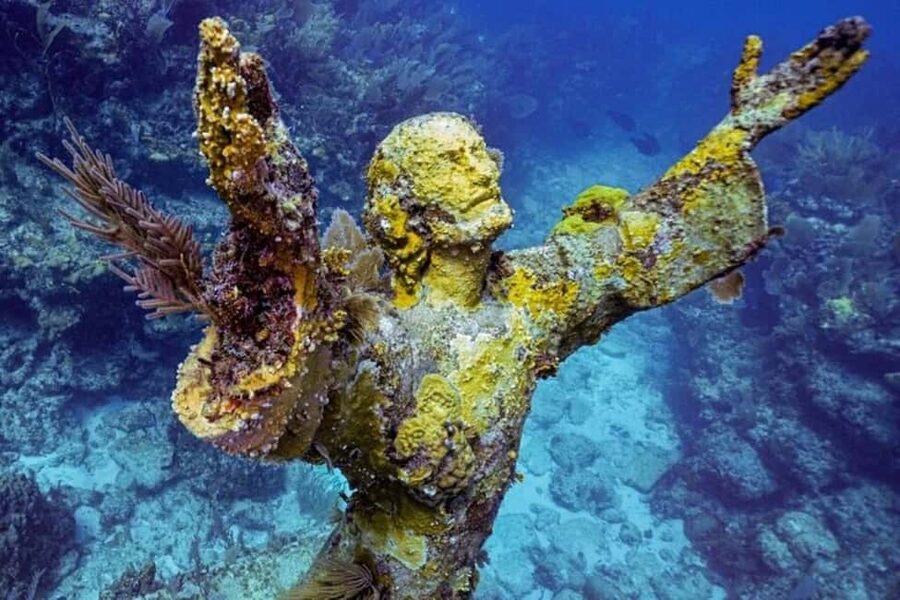 Key Largo: Snorkeling Trip - The boat ride and onboard setup