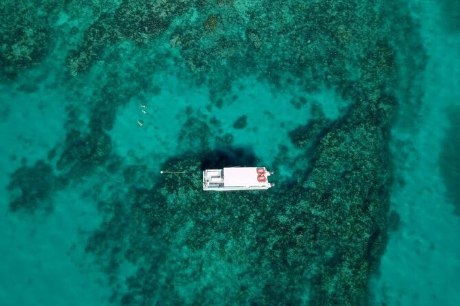 Key Largo Two Reef Snorkel Tour - All Snorkel Equipment Included! - Who will enjoy this most