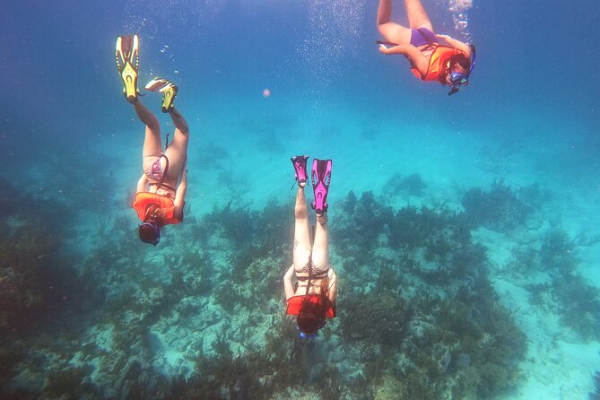 Key Largo Two Reef Snorkel Tour - All Snorkel Equipment Included! - What the three-hour schedule feels like