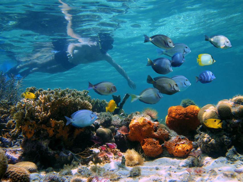 Key West: 2 Reef Snorkel With Sunset Cruise, Includes Drinks - Boarding the Miss Valyn