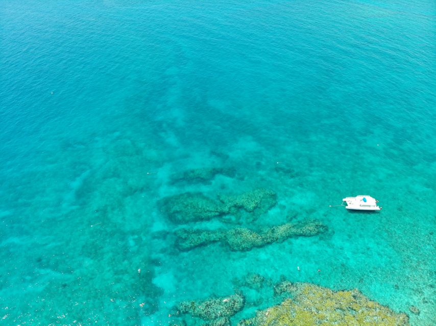 Key West: 2 Reef Snorkel With Sunset Cruise, Includes Drinks - The reef may not always look healthy