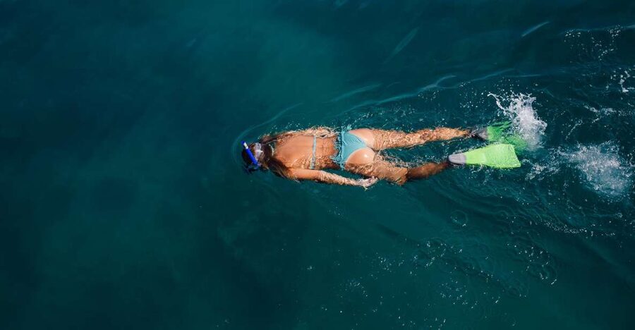 Key West: 3-Hour Afternoon Reef Snorkel with Drinks - Key points at a glance