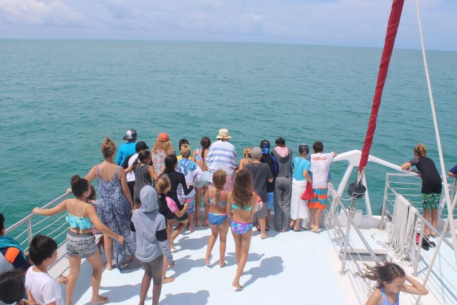 Key West: 3-Hour Afternoon Reef Snorkel with Drinks - Snorkeling over the Florida Keys reef