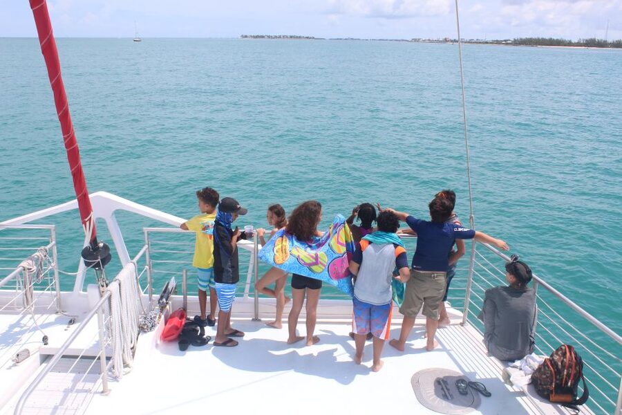 Key West: 3-Hour Afternoon Reef Snorkel with Drinks - Practical details before you book